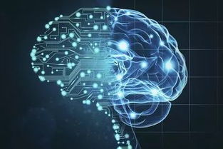 人工智能基礎軟件開發 新階段的機遇與挑戰